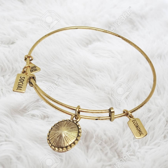 Alex and Ani October Color Code Rose Bangle Bracelet Shiny Gold - Picture 5 of 5